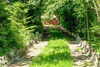 Spațiu comercial, în Cheia - 7