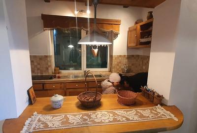 Casă cu 5 camere cu Teren 3900 Mp în Șuncuiuș