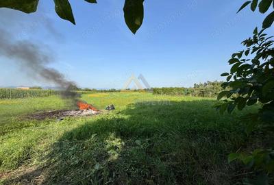 Casă cu 3 camere cu Teren 3120 Mp în Hideaga - 7