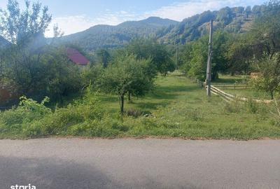 Teren de 1784 mp, în Avram Iancu - 3