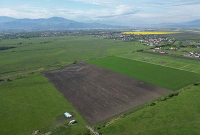 Spațiu comercial, în Stupini