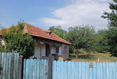 Casă cu 3 camere cu Teren 790 Mp în Stăncești - 3