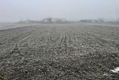 Teren de 6500 mp, în Tărtășești - 7