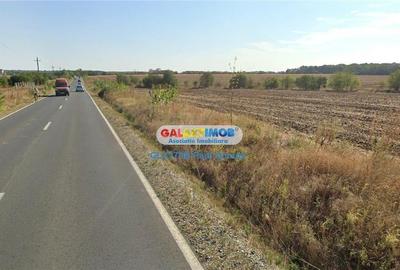 Teren 14000 mp la Dj Moara Vlasiei Gradistea latura Padure - 2