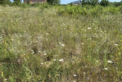 Teren intravilan in Livada Meses cu toate utilitatile - 3