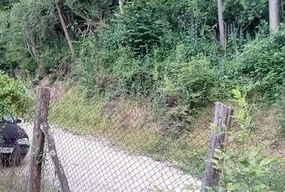 Casă cu 3 camere cu Teren 400 Mp în Central - 6