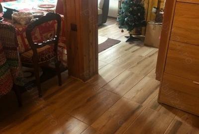 Case de vacanta zona Rasinari - 4