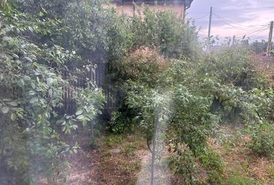 Casă cu 3 camere cu Teren 1000 Mp în Central - 7