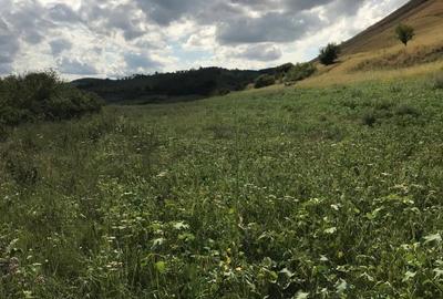 Teren de 11500 mp, în Micăsasa - 1