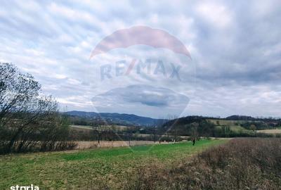 Teren de 5240 mp, în Copalnic