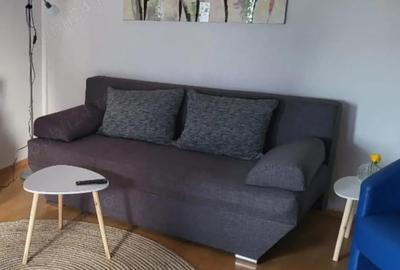 Apartament cu 2 camere semidecomandat în Centrul Civic - 5