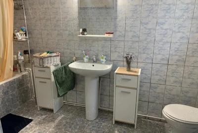 Casa spa?ioasa + 3000mp teren, foraj 120m, zona pitoreasca Balint, Timi? - 5