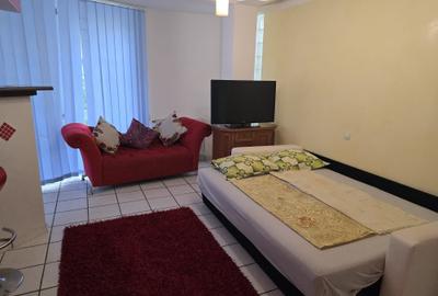 2 camere în vilă – intrare separată, lângă ASE  Ovidius - 4