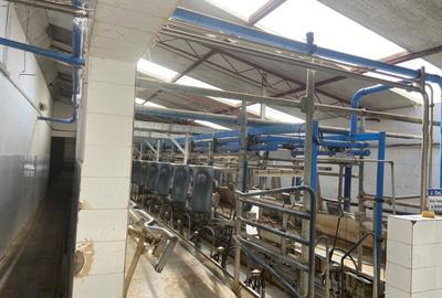 Vand ferma bovine situata in judetul Buzau - 5