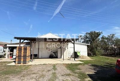 Spațiu comercial, de 700 mp, în Bucovăț (Remetea Mare) - 19