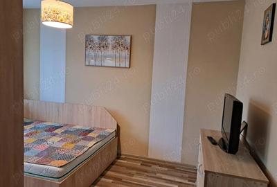 Apartament cu 2 camere nedecomandat în Gojdu - 6