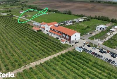 Teren de 2563 mp, în Șura Mică