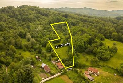 Teren de 11700 mp, în Valea - 3