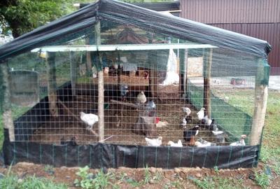 Casă cu 3 camere în Dumbrava - 6