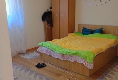 Casă cu 2 camere în Alexandriei - 5