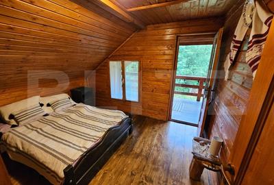 Casa de vacanta cu 4 camere,3300 mp teren,Valisoara - 8