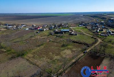 ID 7829 EXCLUSIVITATE - Teren INTRAVILAN in DUNAVA?U DE SUS - 3