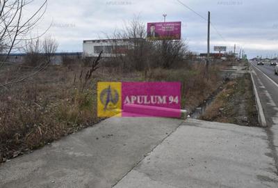 Teren cu potential comercial, bun pentru Showroom. - 4