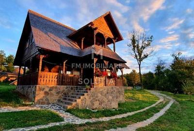 Casă cu 5 camere decomandat cu Teren 3570 Mp în Desești - 15