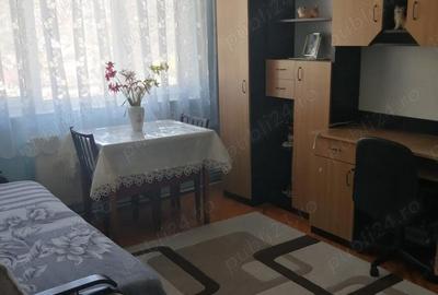 Apartament cu 2 camere decomandat în Săsar - 10