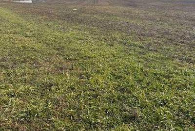 Teren de 7174 mp, în Pielești