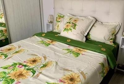 Apartament cu 2 camere semidecomandat în Calea Urseni - 2