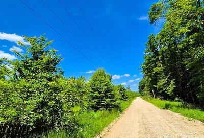 Teren intravilan Cotmeana Arges - 1