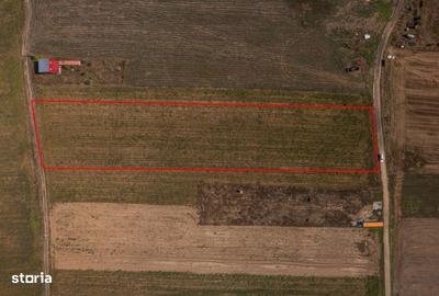 Spațiu comercial, în Adunații-Copăceni - 10