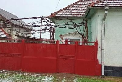 Casă cu 4 camere cu Teren 1500 Mp în Bârsa - 9