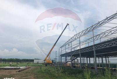 Spațiu comercial, în Pițigaia - 11