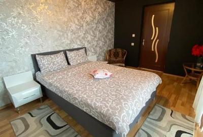 Oferta casa de vacanta P+1+M cu 1700mp teren, in Gura Raului - 42