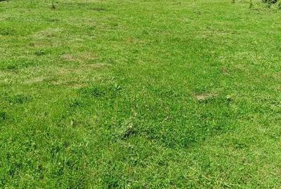 Spațiu comercial, în Valea Siliștii - 6