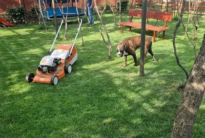 Chirie casa cu 4 camere, curte cu mult spatiu verde in zona Episcopia - 7