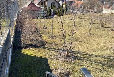 Casă cu Teren 1905 Mp în Stejeriș - 14