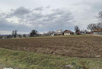 Spațiu comercial, în Mitocu Dragomirnei - 5