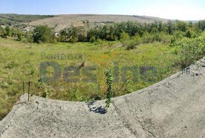 Casă cu 4 camere cu Teren 6400 Mp în Popești - 2