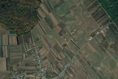 Vanzare teren Sabareni, 5.000 mp, langa Padurea de Tei - 6