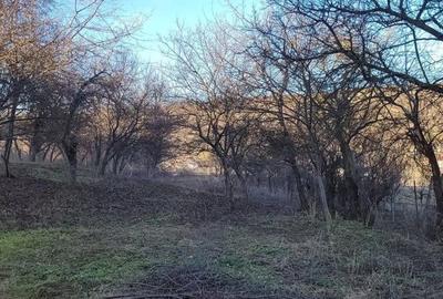 Casă cu Teren 70 Mp în Central - 3