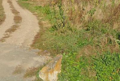 Teren de 20000 mp, în Șelimbăr - 1