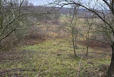 Casă cu Teren 6330 Mp în Poienari - 4