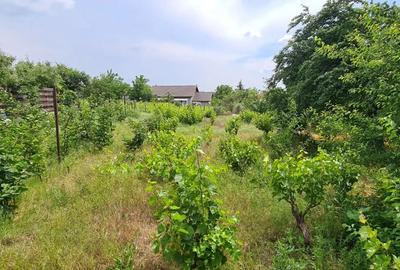 Casa + teren de vanzare Valea Nucului - 3