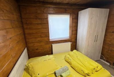 Cabana cu 4 dormitoare, foisor, ciubar, Statiunea Muntele Ba - 6