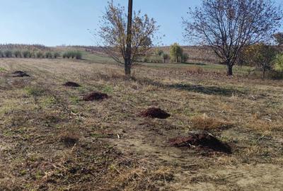 Teren de 3200 mp, în Schineni (Sascut) - 3