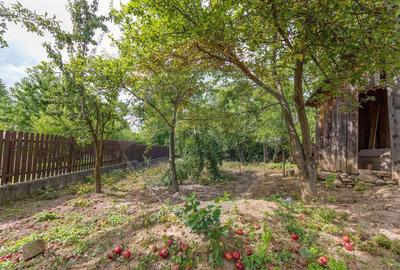 Teren intravilan cu funda?ie, proiect de casa, Avram Ian... - 5