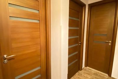 Garsonieră nouă, prima închiriere – 1 Decembrie 1918 – Direct proprietar - 5